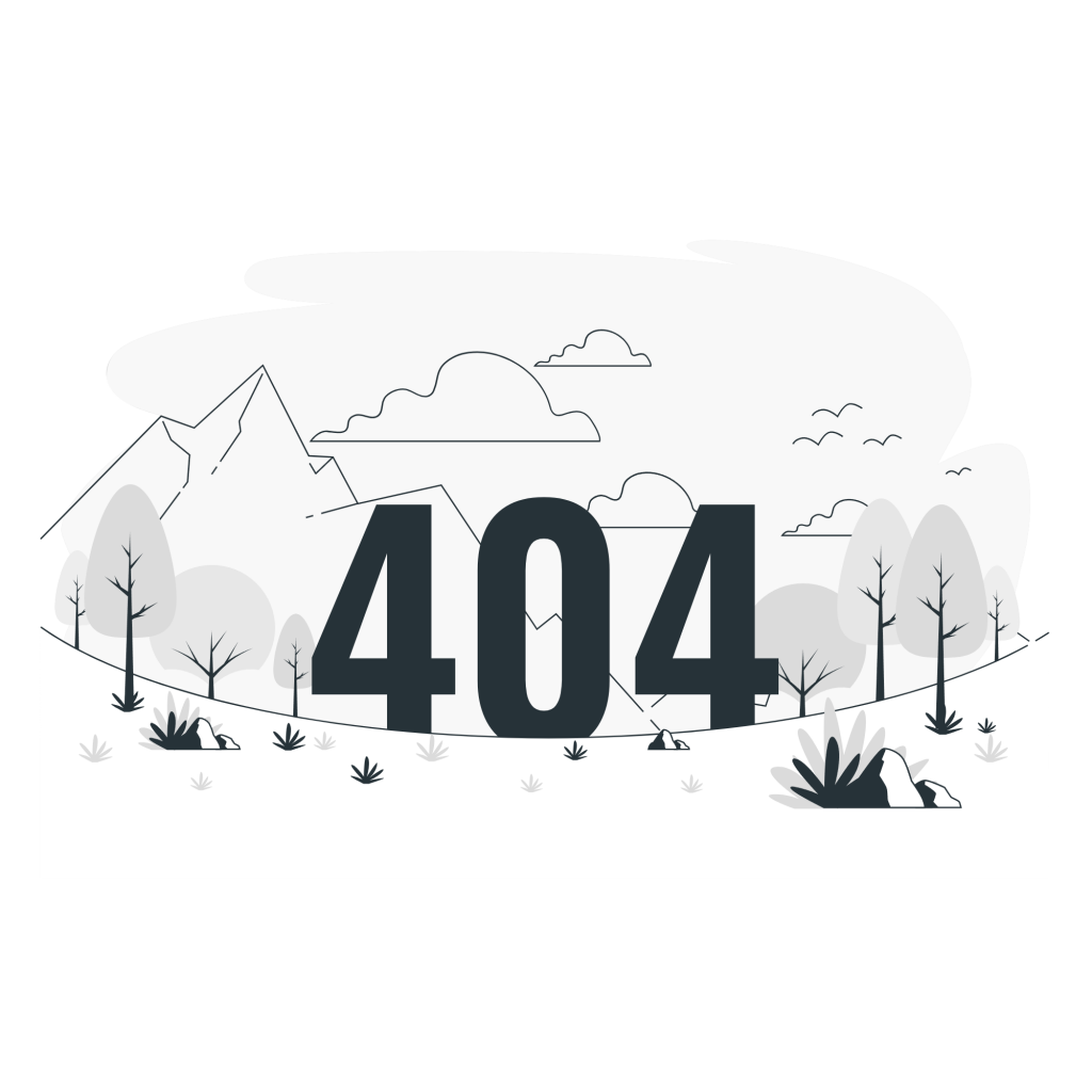 404-image