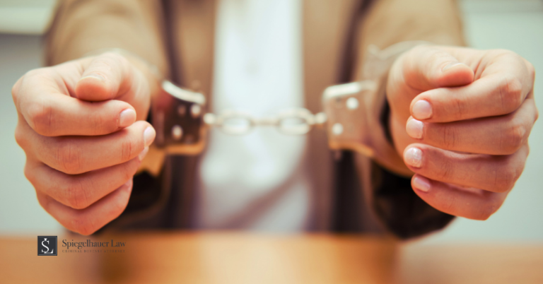 What to Do If Your College Student Gets Arrested Over Winter Break 